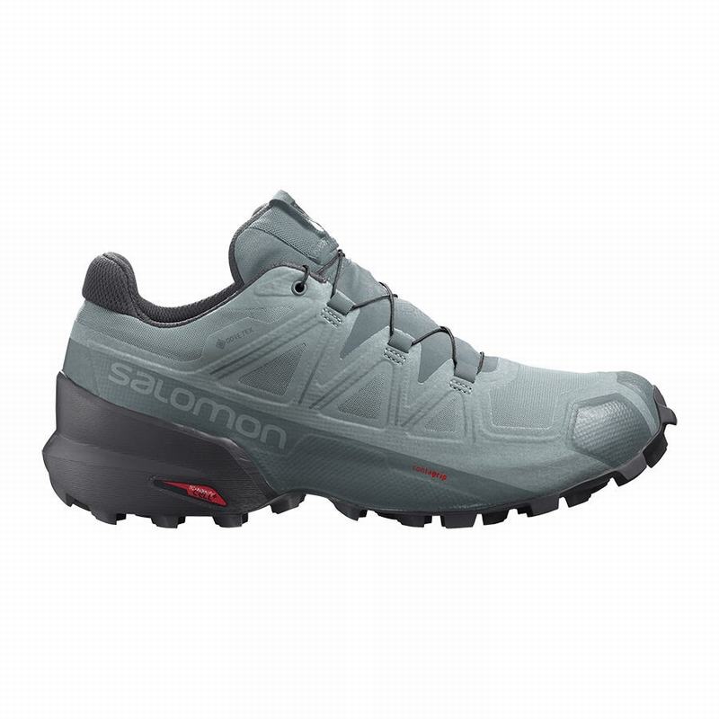 Buty Do Biegania W Terenie Męskie Salomon SPEEDCROSS 5 GORE-TEX - Zielone - Polska (891-CYDRKX)